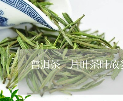 普洱茶一片叶茶叶放多少/2023120708693