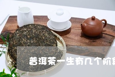 普洱茶一生有几个阶段/2023092761705