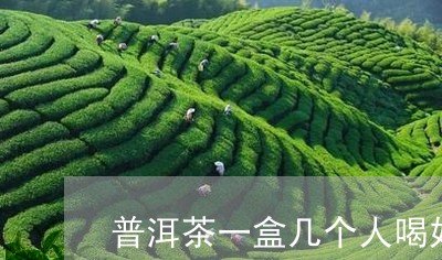 普洱茶一盒几个人喝好/2023120777259