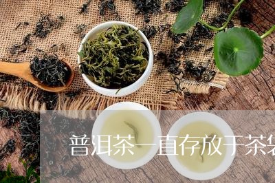 普洱茶一直存放于茶袋/2023061634725