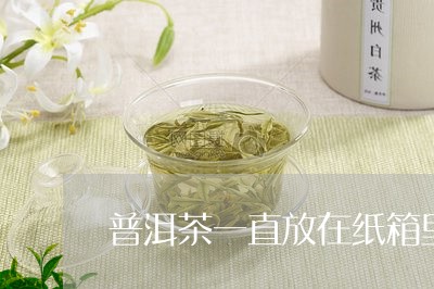 普洱茶一直放在纸箱里/2023092917260