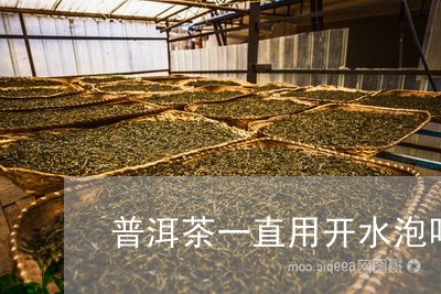 普洱茶一直用开水泡吗/2023061521494