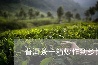 普洱茶一箱炒作到多钱/2023092677382