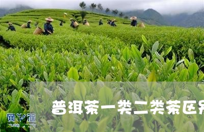 普洱茶一类二类茶区别大吗/2023082885471