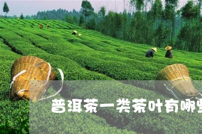 普洱茶一类茶叶有哪些品牌/2023112507269