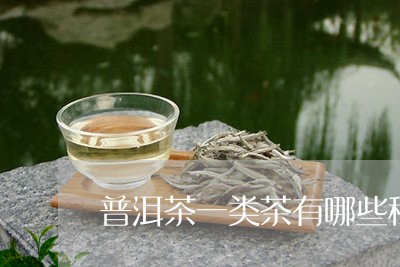 普洱茶一类茶有哪些种类/2023103165857