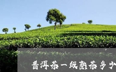 普洱茶一级熟茶多少钱/2023120620504