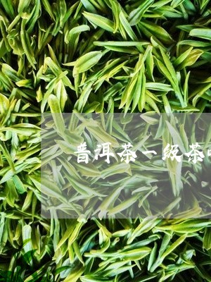 普洱茶一级茶叶多少钱/2023092692814