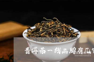 普洱茶一线品牌有几家/2023061524250