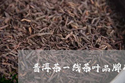 普洱茶一线茶叶品牌有那些/2023121659289