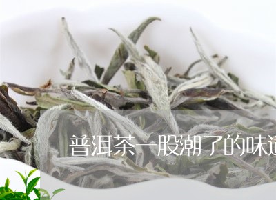 普洱茶一股潮了的味道/2023061529260