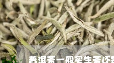 普洱茶一般买生茶还是熟茶呢/2023052957379