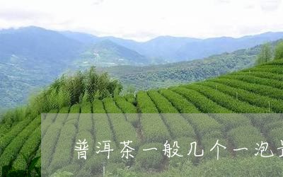 普洱茶一般几个一泡最好/2023121641793