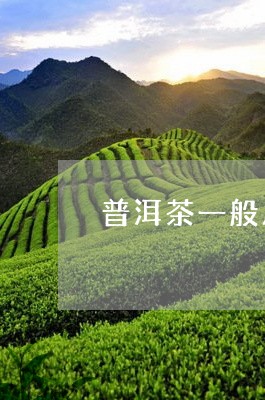 普洱茶一般几年出的茶叶/2023121658314