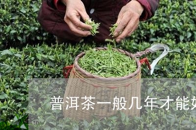 普洱茶一般几年才能好/2023092613949