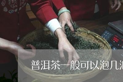 普洱茶一般可以泡几泡/2023092652705