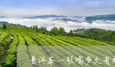 普洱茶一般喝多久有效/2023072351705