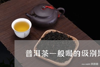 普洱茶一般喝的级别是/2023072117160