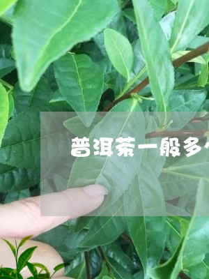 普洱茶一般多少钱一两/2023072123695