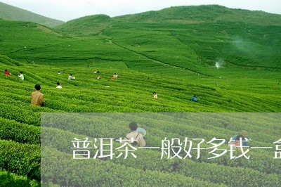 普洱茶一般好多钱一盒/2023061482626