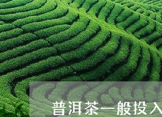 普洱茶一般投入几克茶叶/2023120747483