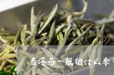 普洱茶一般指什么季节喝/2023082963915