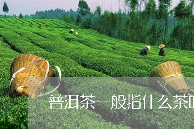 普洱茶一般指什么茶叶的/2023110684960