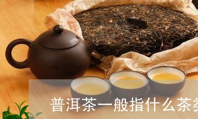 普洱茶一般指什么茶类的/2023082987370