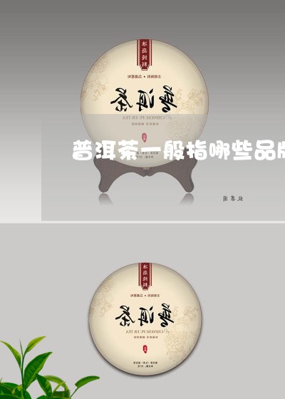 普洱茶一般指哪些品牌的茶/2023121616847