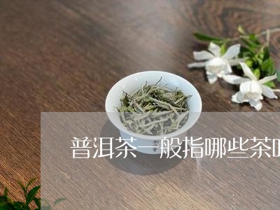 普洱茶一般指哪些茶叶/2023121698159