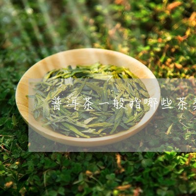 普洱茶一般指哪些茶类的/2023110660371