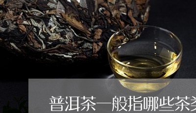 普洱茶一般指哪些茶类的/2023121629282