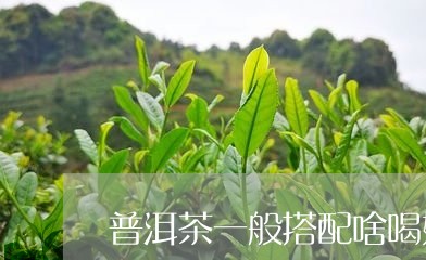 普洱茶一般搭配啥喝好一点/2023121611504