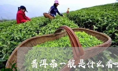 普洱茶一般是什么香味/2023092713036