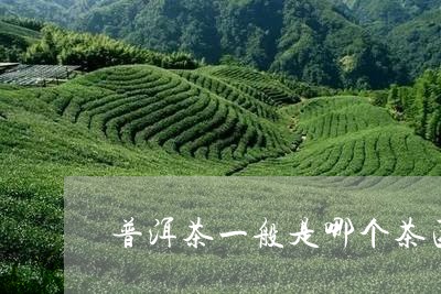 普洱茶一般是哪个茶区/2023062137379