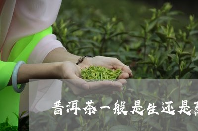 普洱茶一般是生还是熟/2023092690593