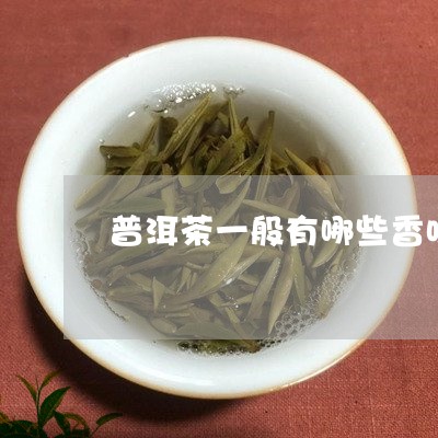 普洱茶一般有哪些香味的/2023102446038