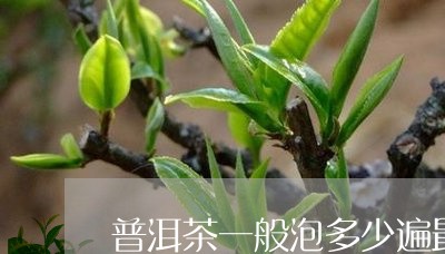 普洱茶一般泡多少遍最好/2023112754049