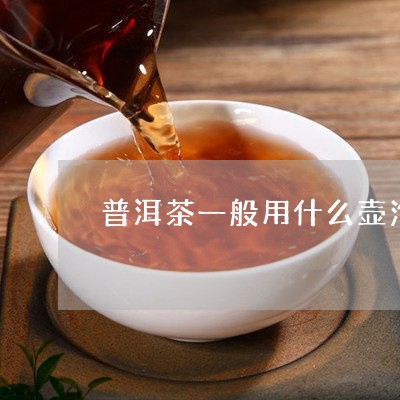 普洱茶一般用什么壶泡/2023061406059