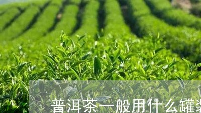 普洱茶一般用什么罐装/2023092724847