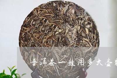 普洱茶一般用多大壶装好/2023082999281