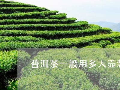 普洱茶一般用多大壶装比较好/2023082944817