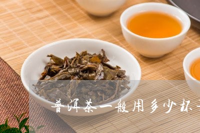 普洱茶一般用多少杯子/2023092730714