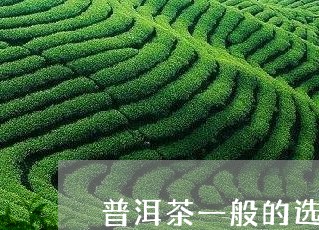 普洱茶一般的选购价格/2023092728372