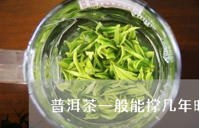 普洱茶一般能撑几年时间/2023102490715