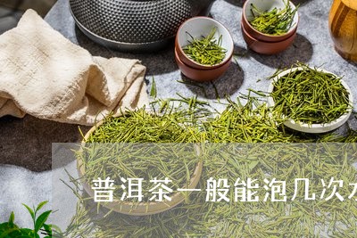 普洱茶一般能泡几次水/2023072132169