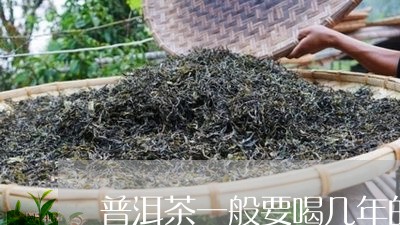 普洱茶一般要喝几年的/2023120713847