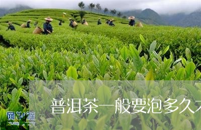 普洱茶一般要泡多久才好/2023110151713