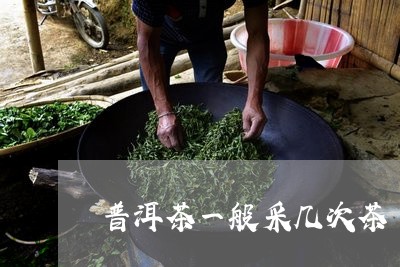 普洱茶一般采几次茶/2023082917461