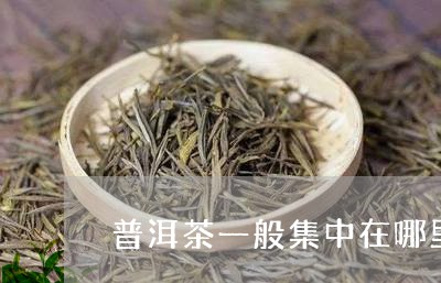 普洱茶一般集中在哪里/2023072239570